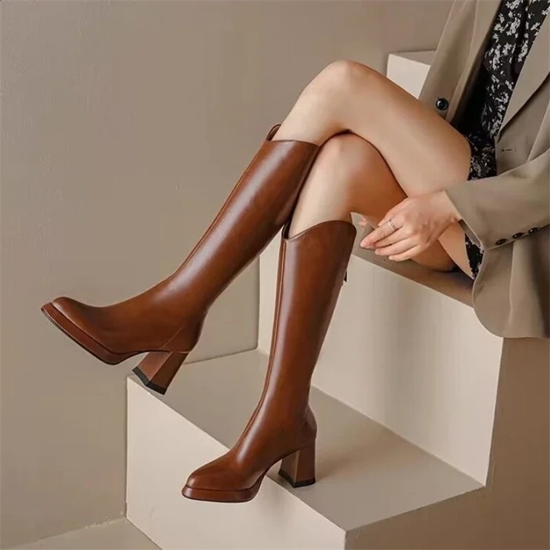 Fashion Pointed Toe Thick Heel Womens Knee High Boots Winter Warm Brown Boots Zapatos De Mujer 240926bj