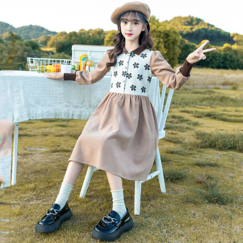 D370 Girls&#039; dress autumn new style princess dress Korean style medium and large children&#039;s long-sleeved skirt Western style children&#0-image-1076426921