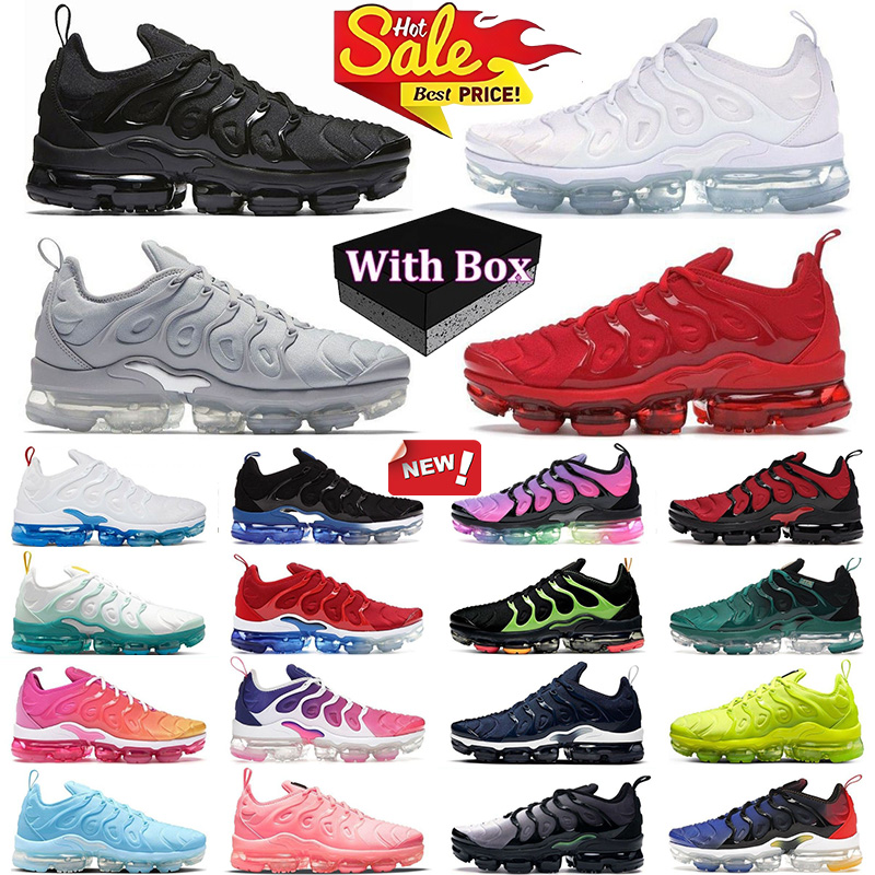 With BOX Chaussures Designer Tn 3 Tns chaussures de course chaussures de sport extérieur hommes sneakers palmiers vert bleu qualité supérieure ba