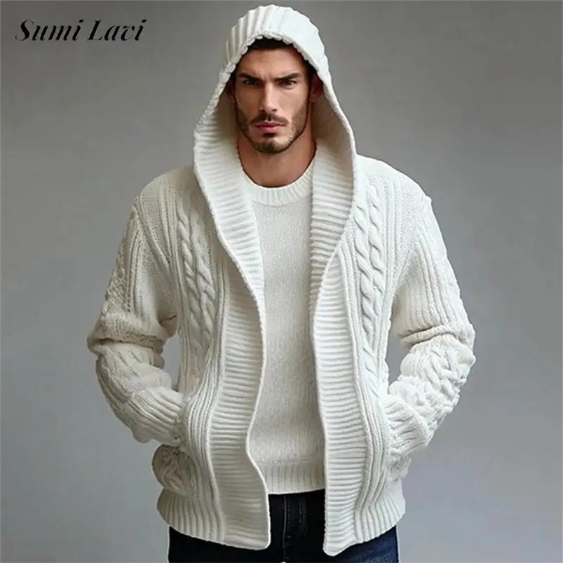 Winter thick warm sweater jacket mens fashion twisted texture knitted hooded cardigan mens casual loose knitted cardigan 241125