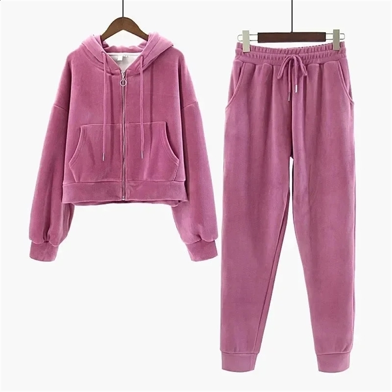 Women Velvet Tracksuit Zipper Hooded Sweatshirt and Sweatpants Solid Color 2 Piece Set Autumn Winter Warm Casual Female Suit 240828