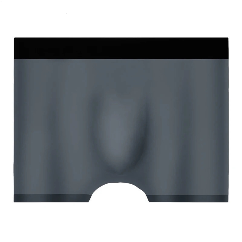 Mens underwear mens ice silk 3D molded boxer seamless thin boxing shorts summer breathable y250420Z