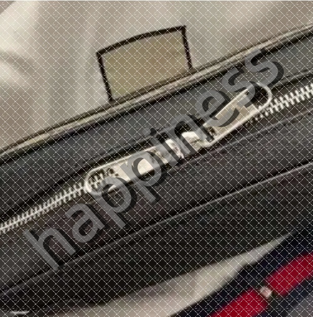 Luxury Designer Waist Bag Women bags Bumbag Belt Mens Backpack Tote Crossbody Purses Messenger Men Handbag Fashion Wallet Fannypack-image-977539496