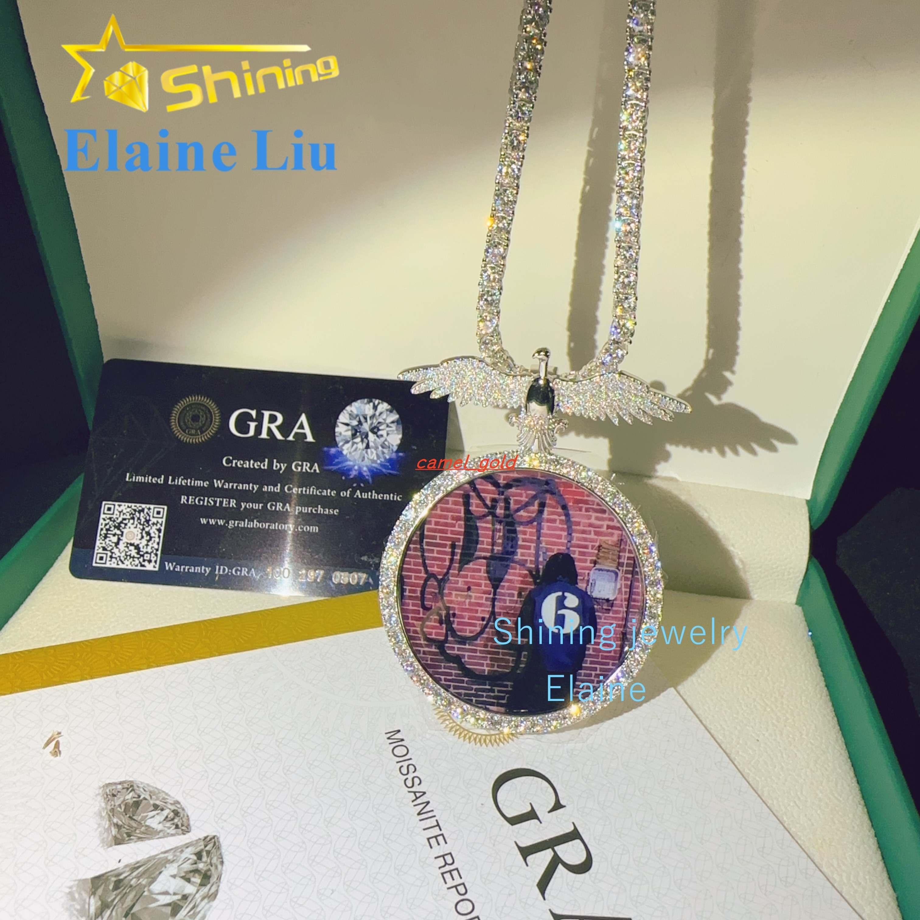 Fine Jewelry Fashion Man Rapper Luxury Iced Out VVS Moissanite Diamond Pass Diamond Tester Custom Hip Hop Photo Pendant