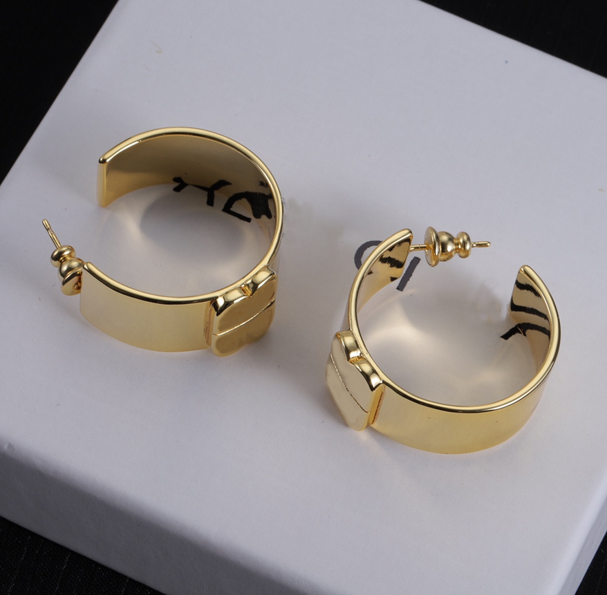 Popular 18K Gold Plated Hoop Earrings Designer Earrings Eardrop Aretes Orecchini High Quality Lovers Gift Women Lady Party Wedding Jewelry Accessori