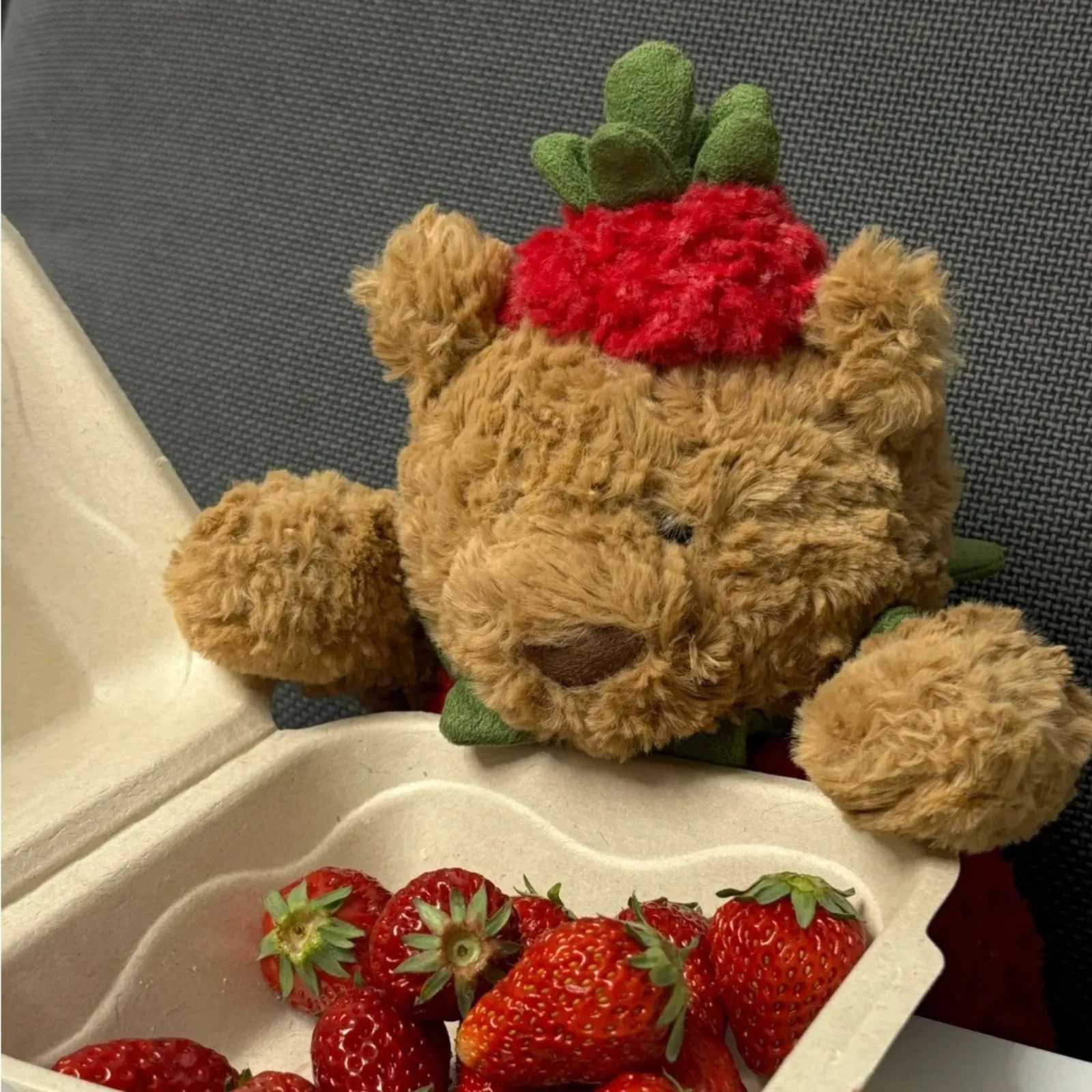 Teddy Bear Cute Jelly Cartoon Doll PP Cotton Filled Toy Wholesale Plush Childrens Low Birthday Gift Y250805 W260306-image-1096672997