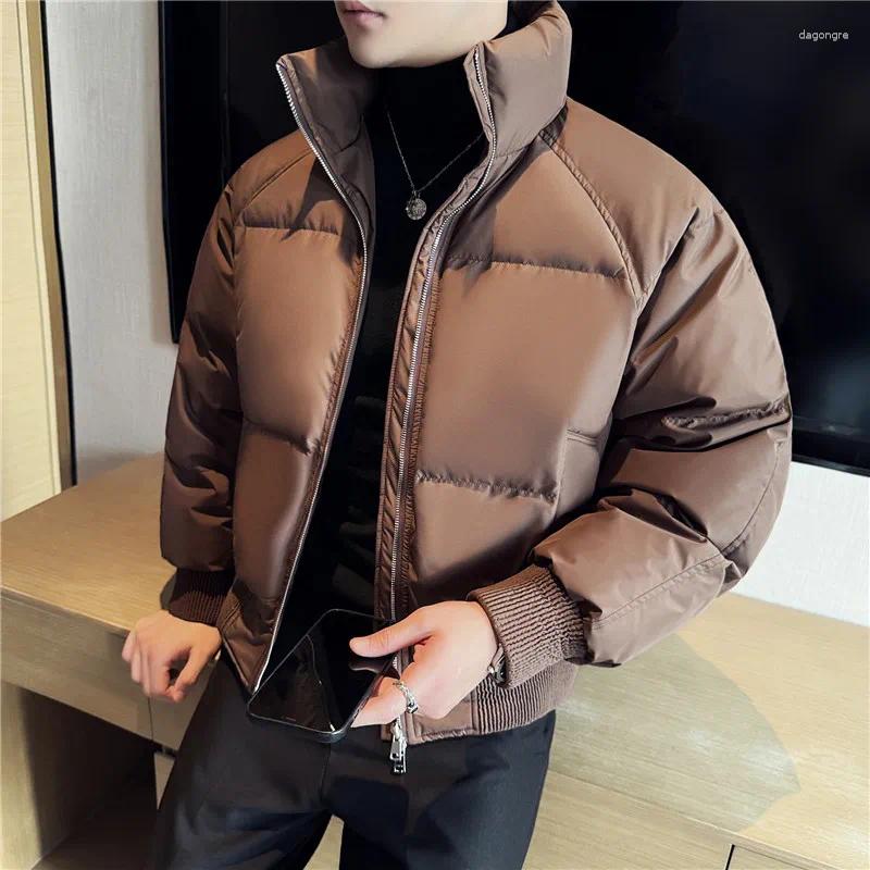 Men's Down Loose And Casual Thickened Jacket For Men Stand-up Collar Daily Commuting Leisure Warmth Autumn Winter