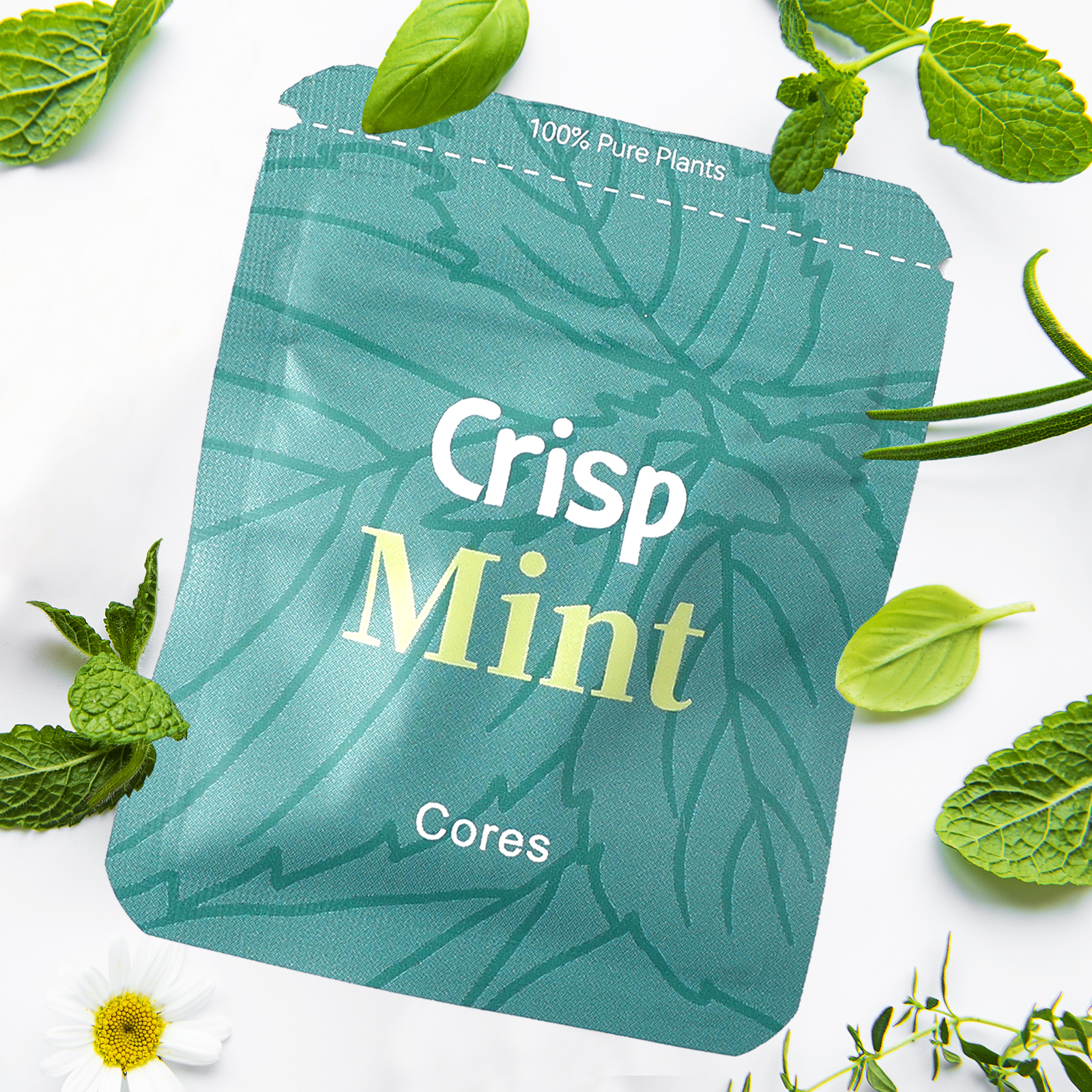 Natural Plant Cores, Extracted from Real Plants,Designed to Help Break Bad Habits,A Relaxation and Meditation Tool for Stress Relief-image-1071466999