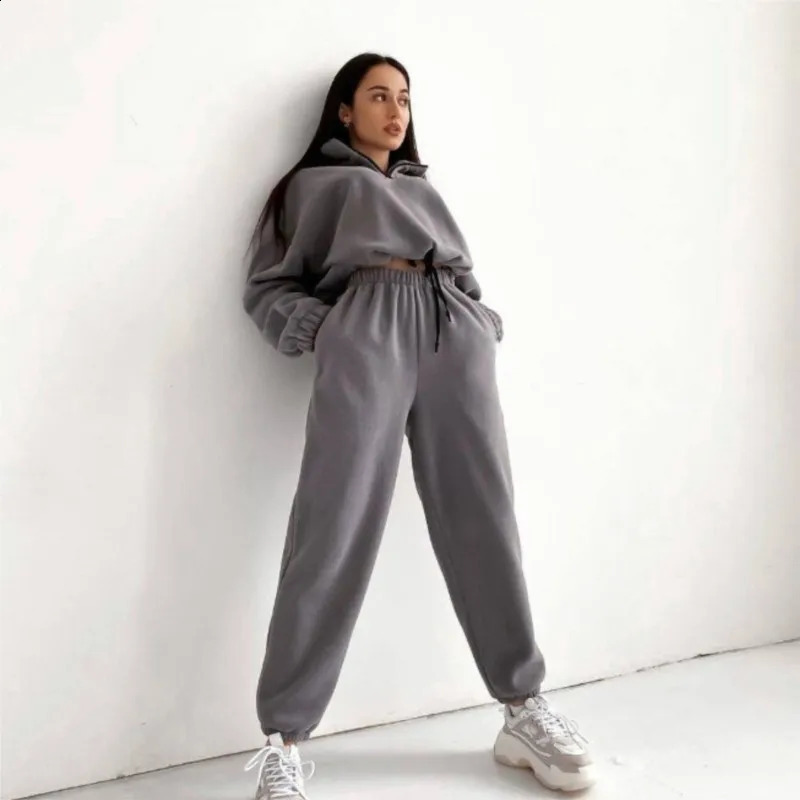 Women Polar Fleece Fabric Suits Loose Long Sleeve Sweatshirt Trousers 2 Pieces Set Female Winter Fashion Warm Solid Tracksuit 250815