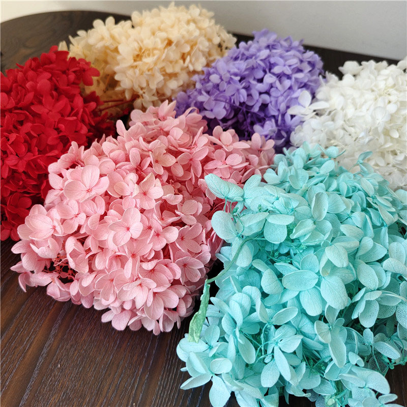 A Grade 20g Preserved Natural Wood Hydrangea Immortal Real Flowers Wedding Party Decor Birthday Valentines Day Gifts Natural Handmade DIY Floral-image-1088776794