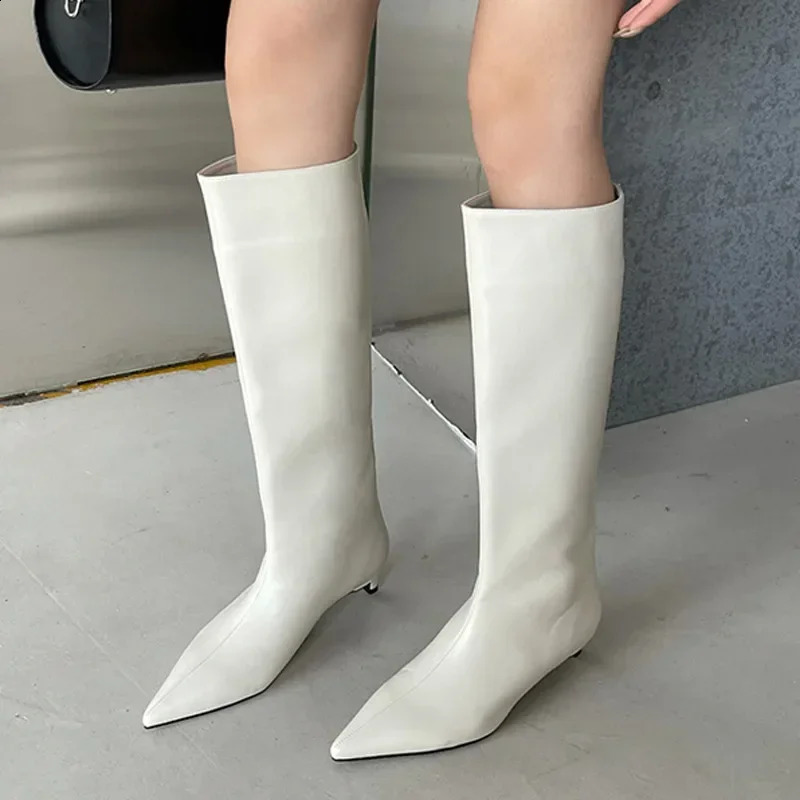 Pointed Toe Women High Boots Leather Fashion Sexy Heels Shoes Woman Trend Snow Boots Low Heels Elegant Goth Mujer Botas 250815