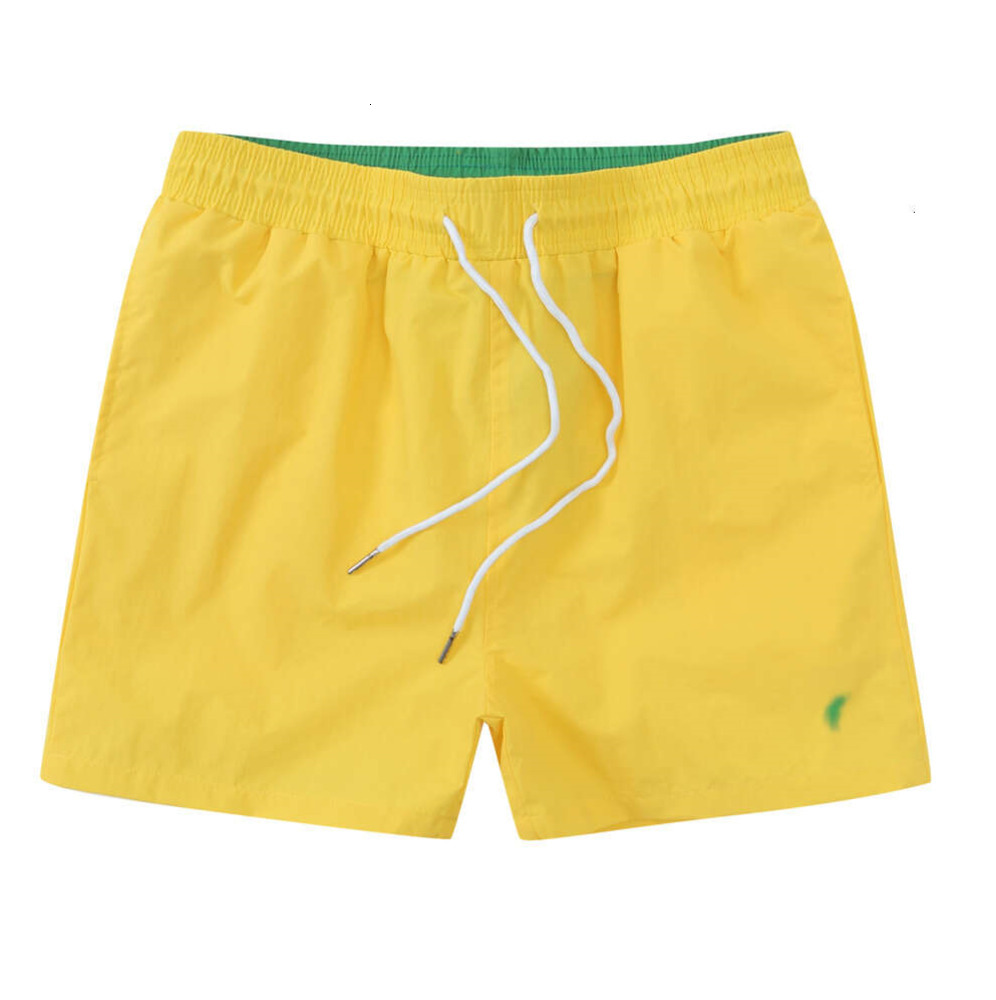 2025 Polo Mens Summer Shorts Small Horse Male Pony Cotton Swimwear Sport Fitness Trunks Short Pants SVF