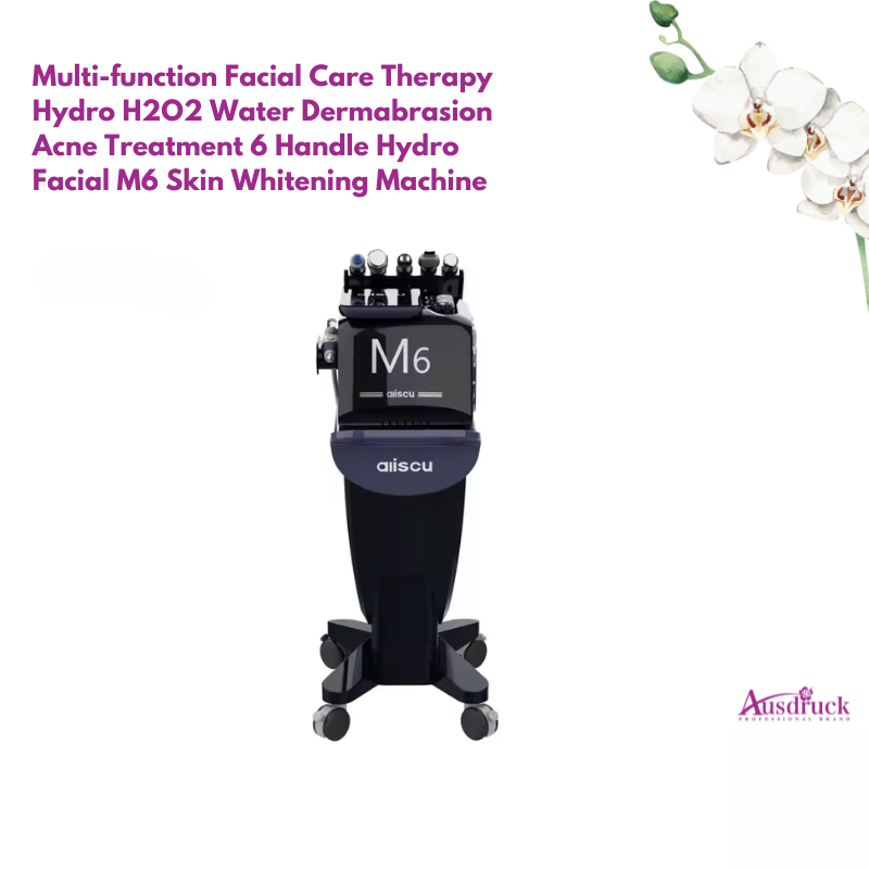 Multi-Function Hydro H2O2 Water Dermabrasion Facial Machine, 6 Handle Hydro Facial Device for Acne Treatment, Skin Whitening, Anti-Aging and Deep Cl