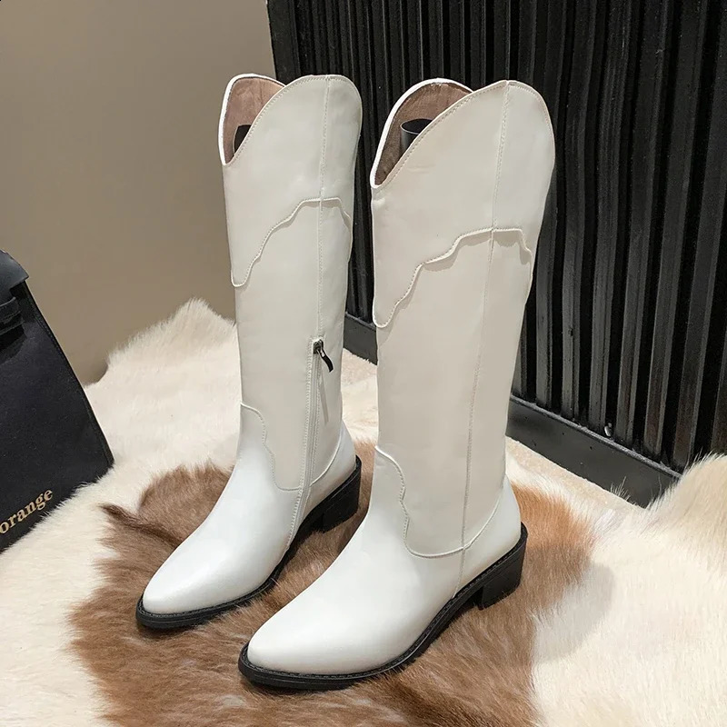 Brown Long Boots Knee-High Square Heel Pointed Toe Platform Women Shoes ZIP British Style Goth Boots Botas De Mujer 250814