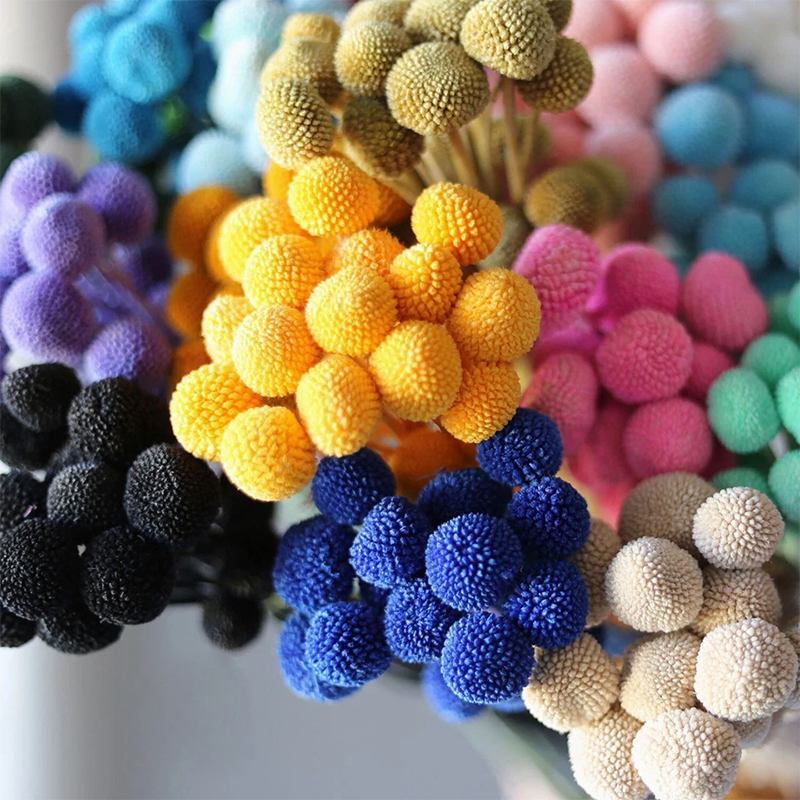 20 Stems Preserved Real Ball Eternal Natural Flowers Bouquets for Indoor Home Table Wedding Vase Room Decoration Table Centerpieces DIY Floral Ma-image-1094958157