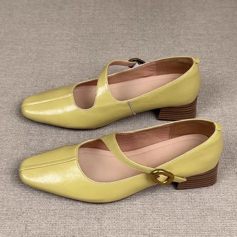 Elegant High Heels Women Shoes Heeled Sandals Pumps Summer Shallow Buckle Shoes Chunky Mujer Zapatos 250814