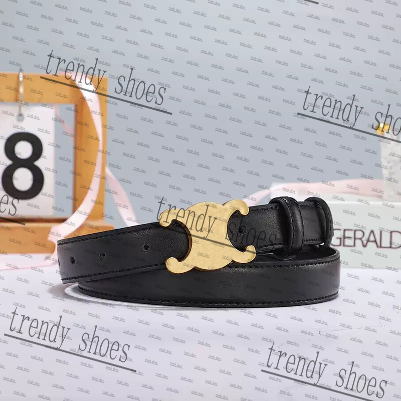 Luxury designer belt for mens belt genuine leather cowhide width 2.5cm women designers belts big smooth golden buckle womens belts waistband SSSSS
