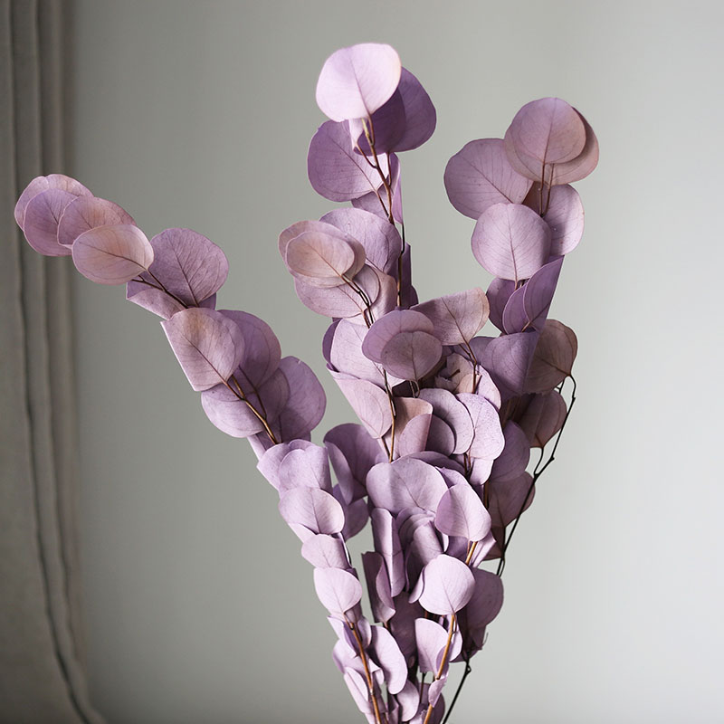 70-80g Preserved Bleached Apple Leaf Eucalyptus Real Flowers Bouquets Home Party Wedding Indoor Decoration Natural Forever Flowers DIY Floral Arr-image-1089190624