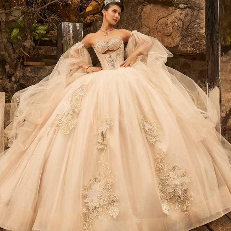Champagne Shiny Princess Sweet 16 Robe Quinceanera Robes Applique de fleurs Bows Tull Tull Party Birthday Vestidos 15 de Anos