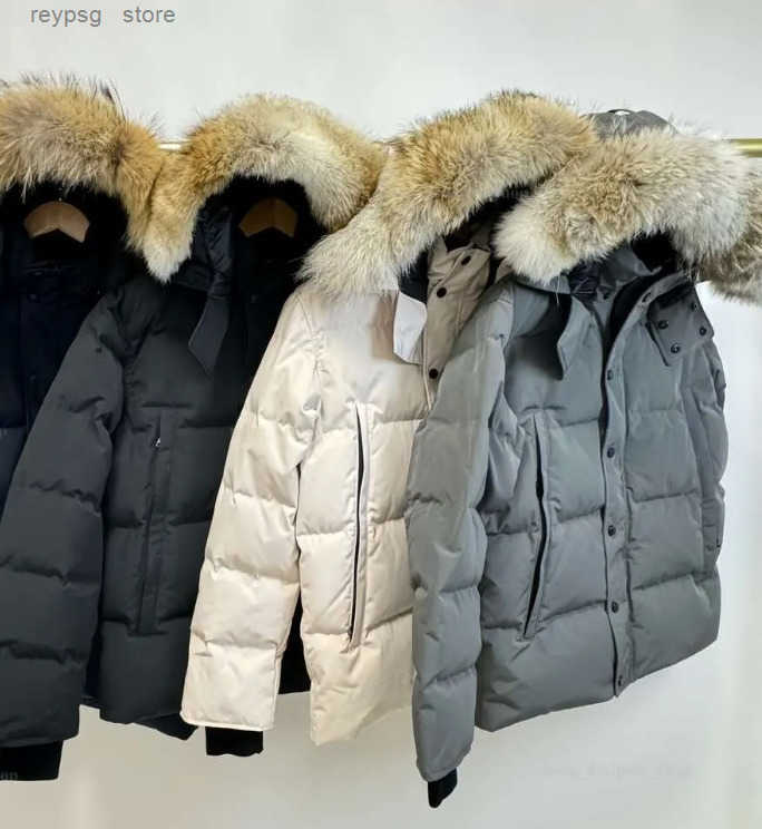 Real Coyote Fur Puffer Jacket Mens - Canadian Designer Windbreaker Coat with Hood | XS-3XL Z250821