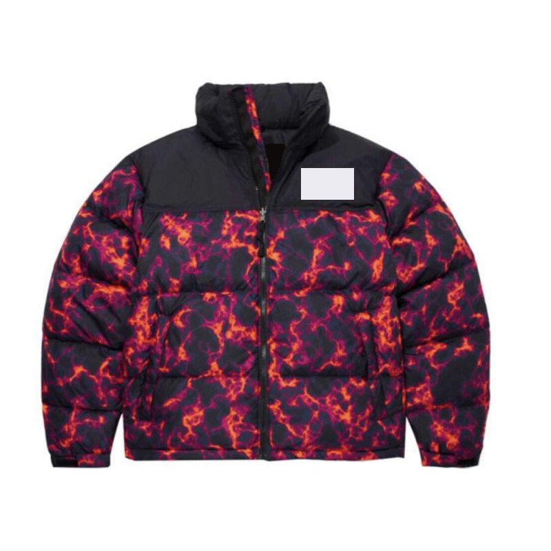 FaceNorthnorthClohes 1996 Doudoune Winter Fashion Classic Men Down Cotton Veste 700 Outdoor Casual Puffer Mens Cotton Jacket Designer Down Jacket