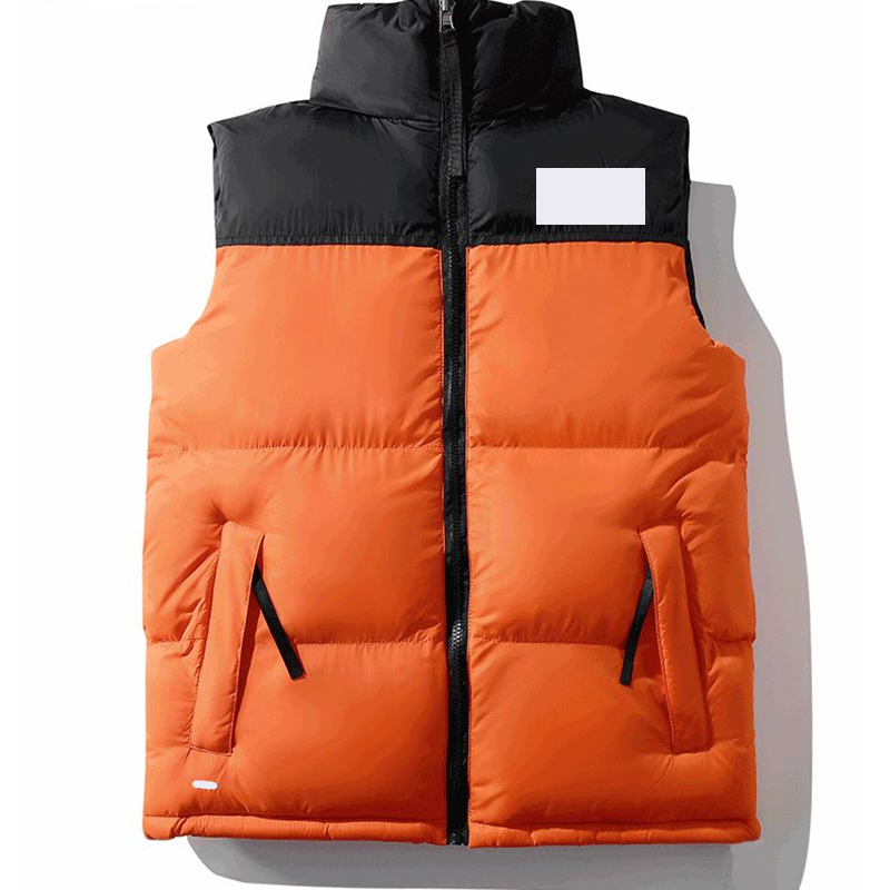FACEFACENORTHGILET 1996 Doudoune Winter Fashion Classic Men Down Cotton Veste 700 Outdoor Casual Puffer Mens Coton Jacket Designer Down Veste Men