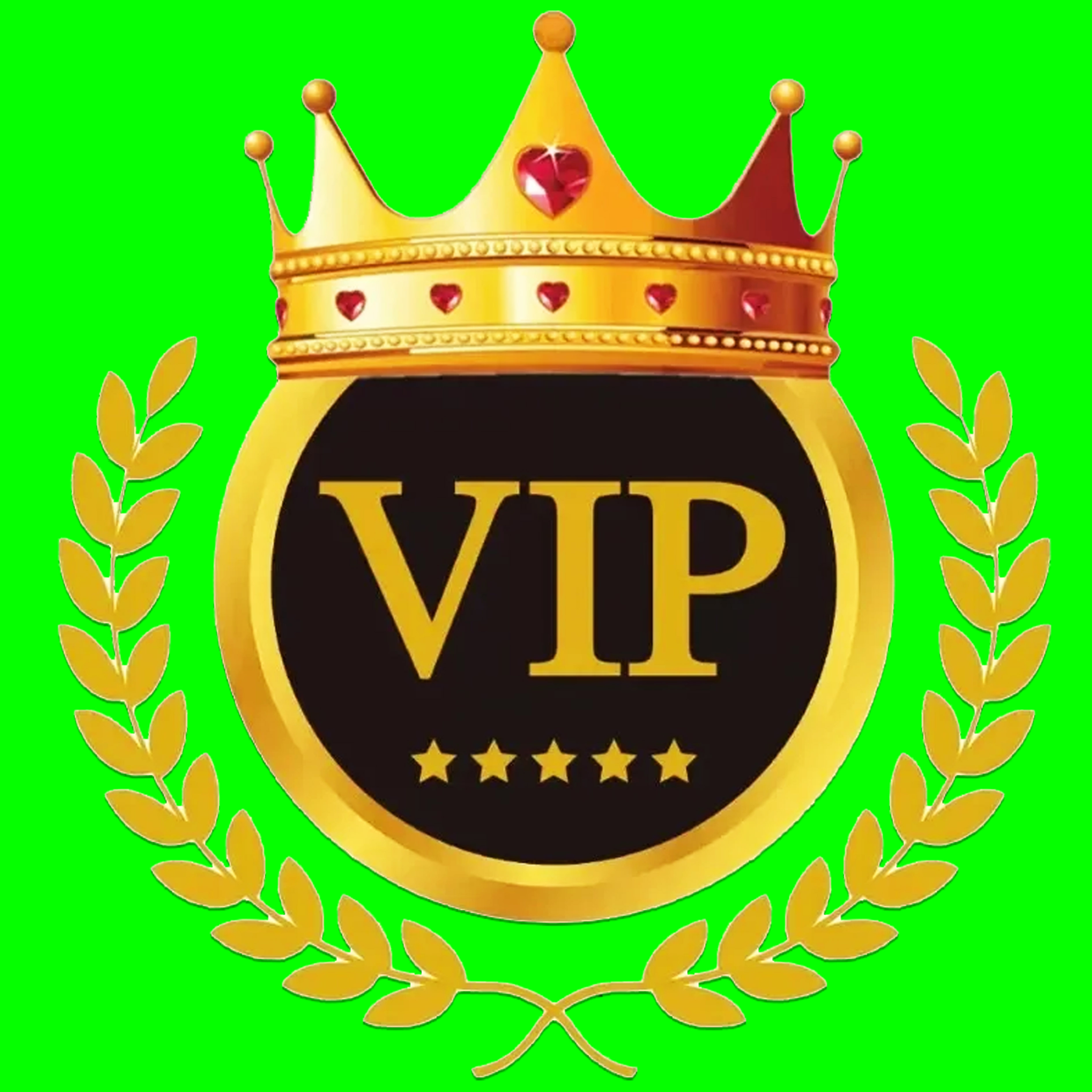 2026 VIP payment link(Provide customers with more convenient services)
