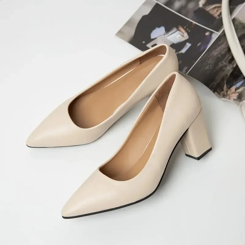 High Heels Women Korean Style Pointed Shallow Mouth Thick Heel Fashion Shoes Sapatos De Mujer 250823