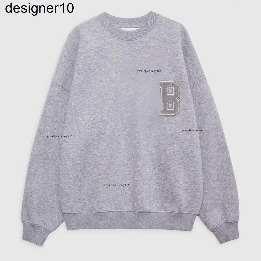 Ab Hoodies Designer Hoodie Letters Embroidery Design Sweatshirts Sport Classic Pure Pullover Jumper Casual Sweater Women Aninely Bingly Hoodies 93F