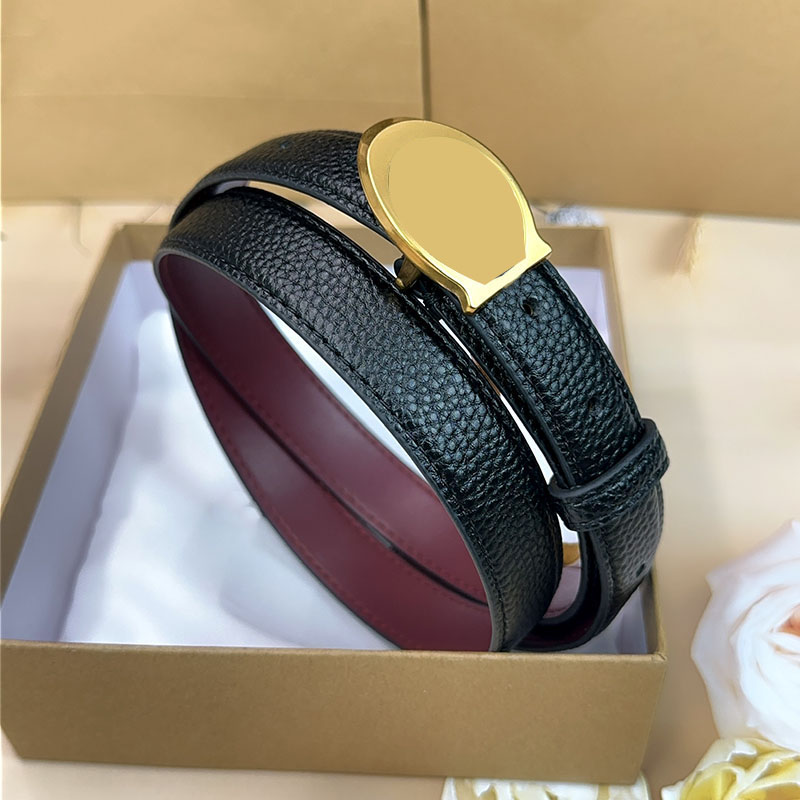 luxury belt Fashion designer belt brand belts gold silver buckle cintura belts for women designer cinture width 2.5cm with box gift high quality-image-940576133