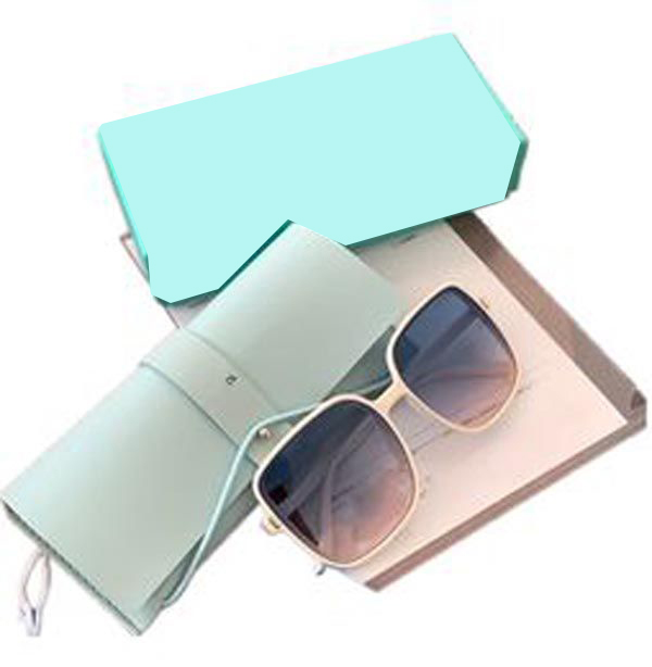 Party Favor gift accessories Designer evening costume accessories blue sunglasses classic printed fashionable UV resistant sunglasses with storage b