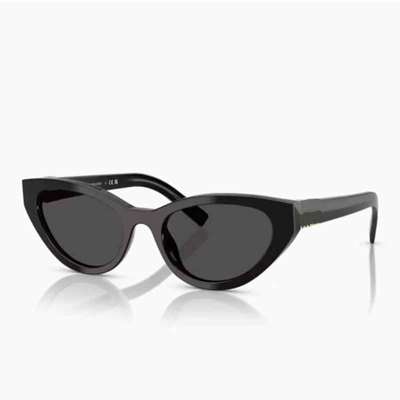 Designer Womens Cat Eye Sunglasses Fashionable lady small frame sexy Acetate cat eye frame Ladies luxury summer beach sunglasses MU04