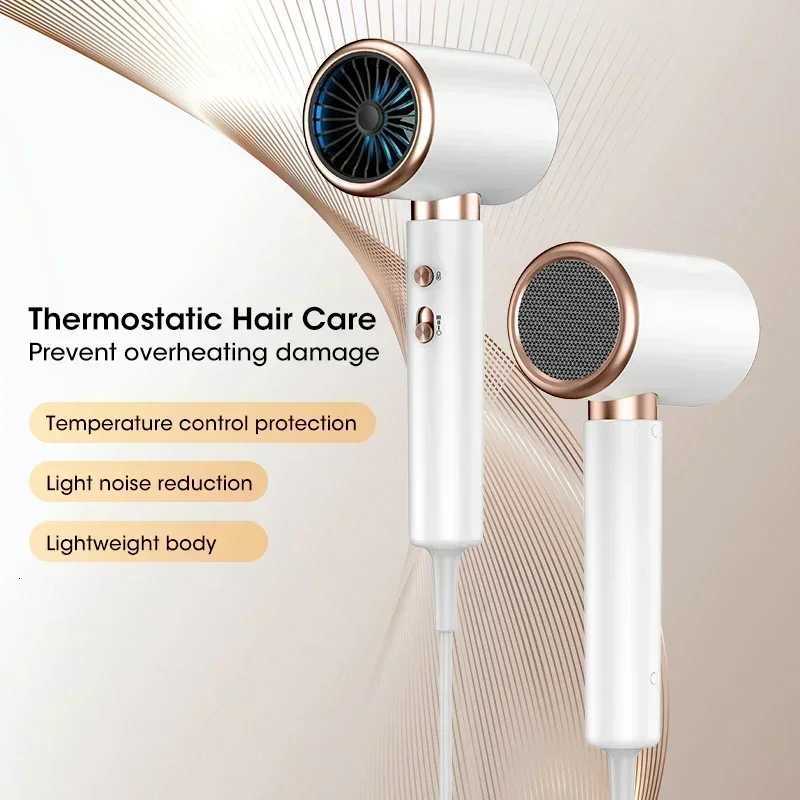 Professional Ionic Hair Dryer 2000W Low Noise 3-Speed Dual Temp Lightweight for Salon He Daily Hair Care Styling Tool C251202-image-1086952056