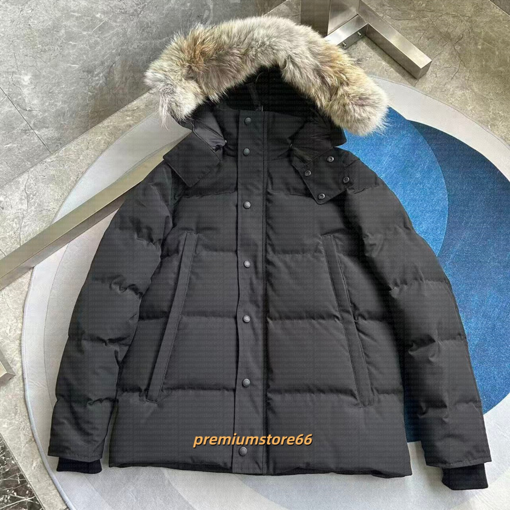 Luxe hommes doudoune manteau blanc canard coupe-vent hommes parkas veste col hiver bouffant réel loup manteau de fourrure capuche arctique garnit