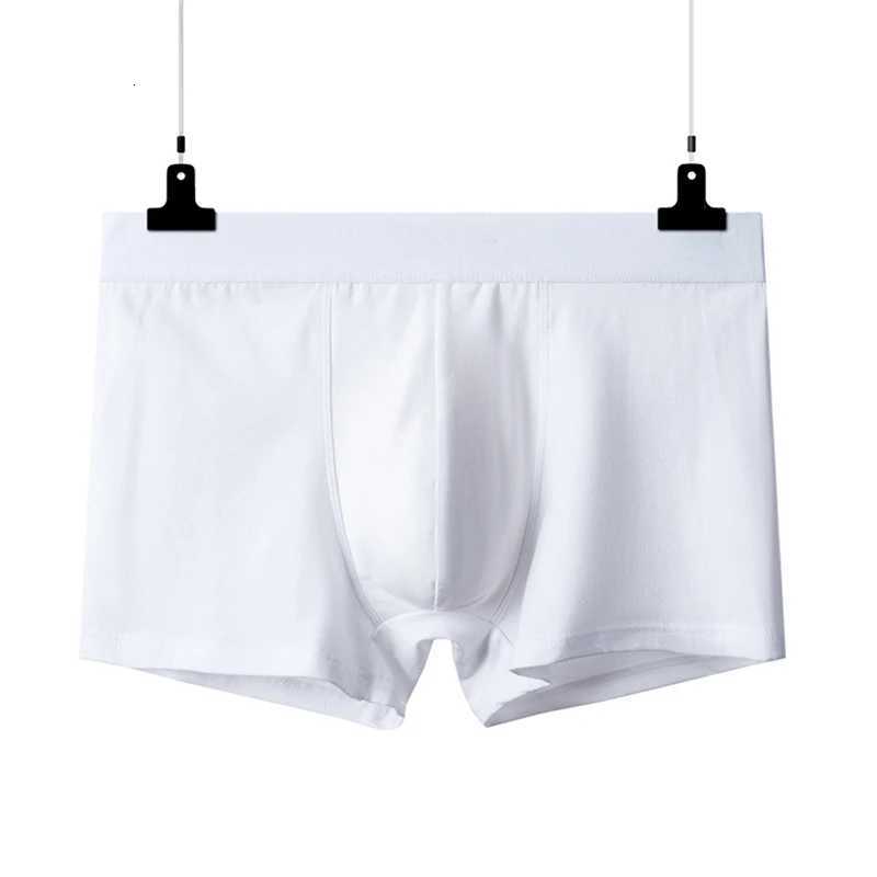 2pcs pur coton homme boxeurs sous-vêtements confortables sous-shorts respirants body hommes couleur blanche sous-shorts 3XL 4XL 5XL 6XL X251205