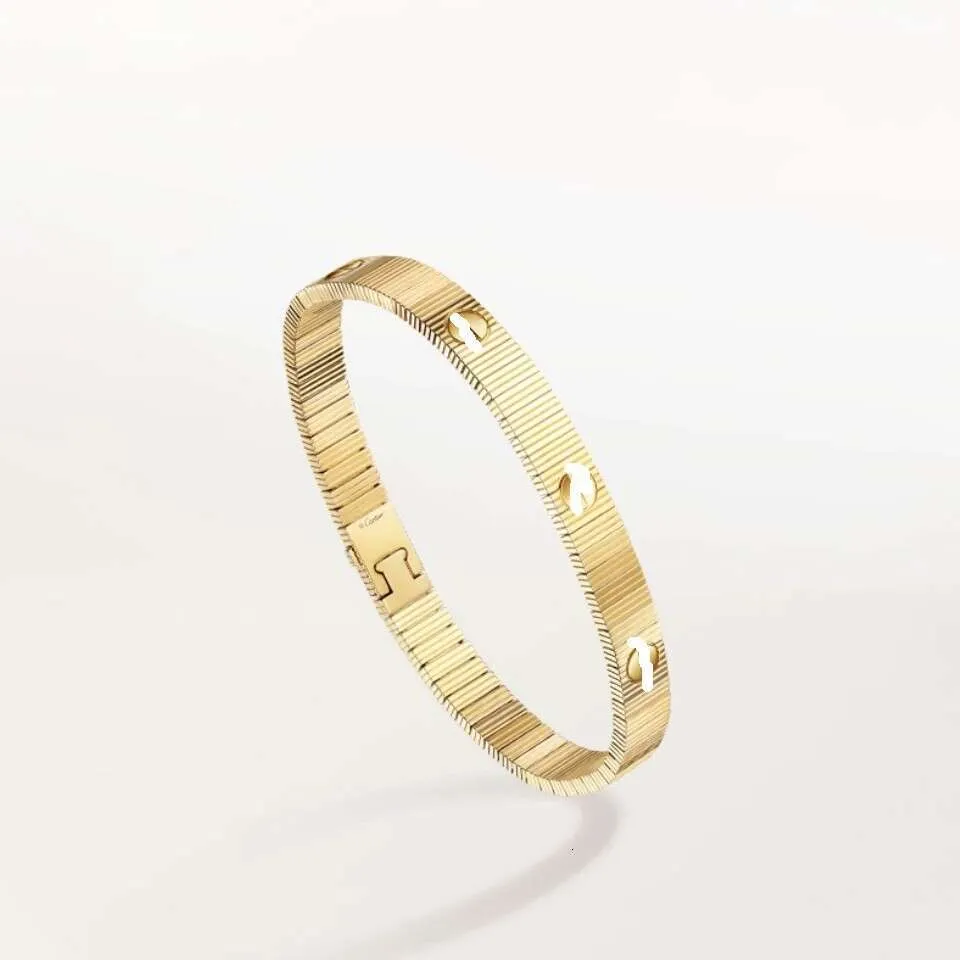 Bangle 2025 Nouvelle arrivée de haute qualité luxe flexible bracelet bracelet amour n'a pas de limites vis amour rayures bracelet pour femmes hom