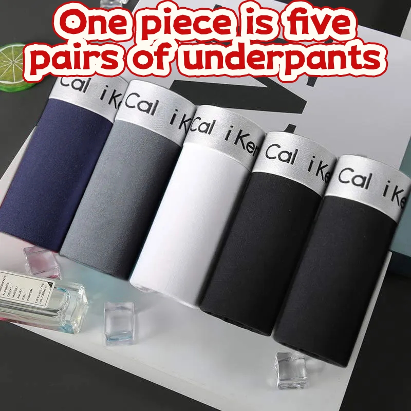 2026 New Underwear Boxers 5PC Men's Underwear Fashion Designer Sexy Shorts Brand Cotton Underwear Boxer Shorts Underpants men