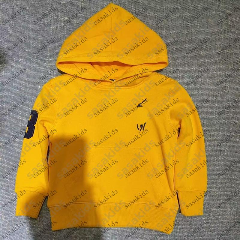 autumn cotton kids designer hoodie for children sweatshirt casual boys clothes winter baby top fashion girls long sleeve hoodies 100-150cm CSD251205