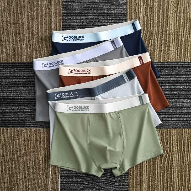 Culottes hommes respirant Boxer Shorts Sexy hommes sous-vêtements sport Boxer homme sportif boxeurs hommes culottes carrées slips coton cadeau X2