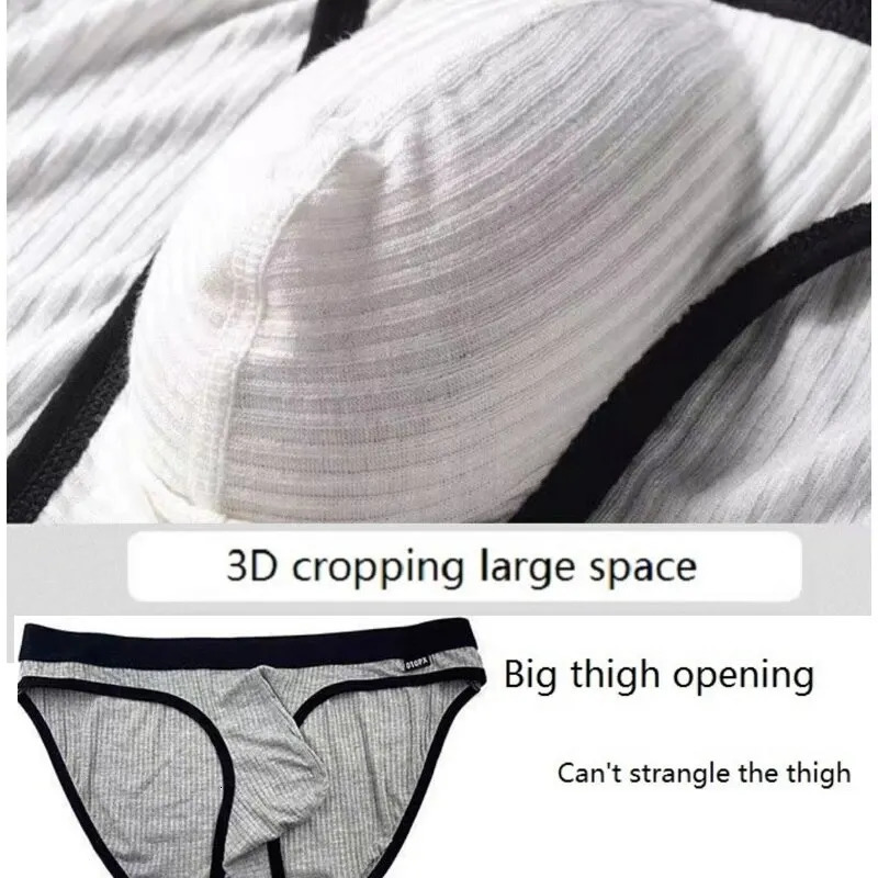 Bulge Pouch Men Underwear Big Modal Mens Briefs Low Rise Sexy Underpants GTOPX Triangle Panties Male 251129