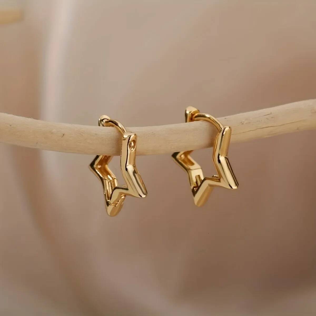 Stainless Steel Earrings For Women Gold Color Geometric Star Hoop Earring Girl Jewelry Hypoallergenic Accessories ddmythur