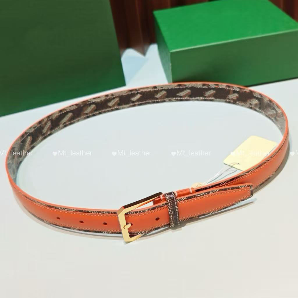 Women high quality genuine leather belt designer women belt width 3cm needle buckle belt Single side wear and reversible 2 styles size 90-115cm wome