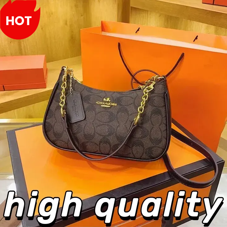 Teri Bags Luxury Shoulder Bag Bags Designer Teri Shoulder Bag For Women Purse designer handbag purses cross body designer crossbody bags women 10A C
