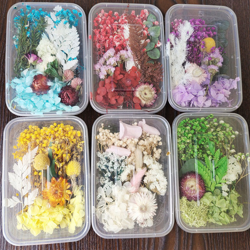 7-8 Kinds of Dried Flowers Preserved Flowers Mixed Materials Package Wholesale Price Natural Flowers Kits Handmade DIY Floral Materials Photo Fra-image-1089700964