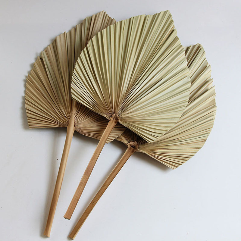Feuille de palmier séchée de couleur originale, bouquets de fleurs séchées naturelles pour la décoration de fête à la maison, vraie plante rustiq
