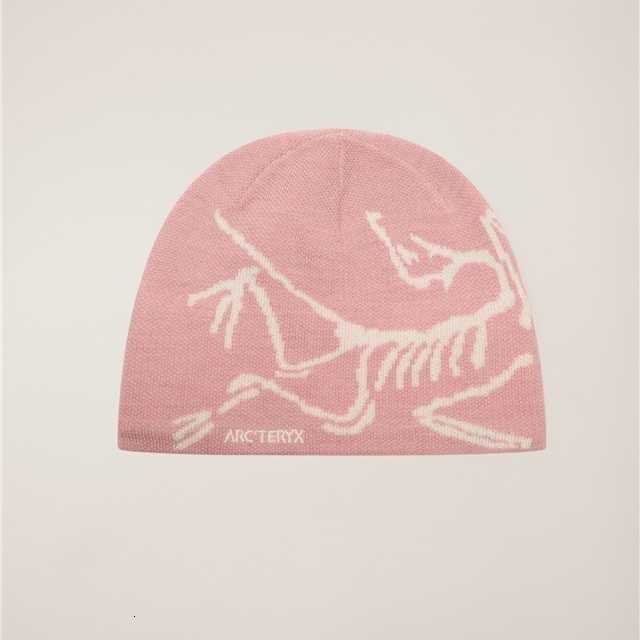 Beanie arctterryx Designers hoed met dierenprint voor heren en dames - Casual veelzijdige Eye-CatColor Seme D260919