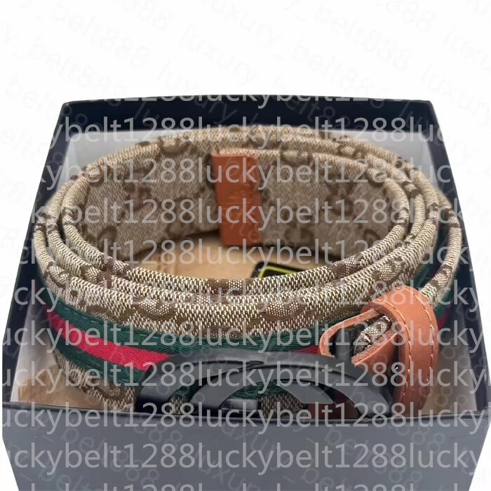2025 Designer Mens And Women Belt Pin Belts 5Color Buckle Classic Fashion Casual Width 3.8Cm Size 95-125Cm