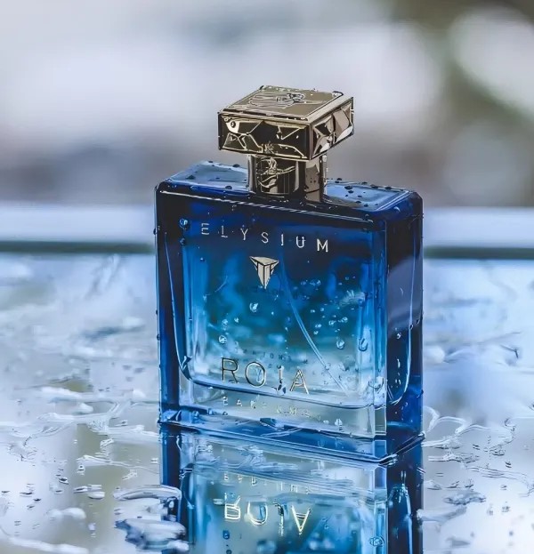 RJ Perfume Elysium Intense Long Lasting Smell Spray Cologne Spray 3.4oz Men Women Neutral Perfume Long Lasting-image-884704314