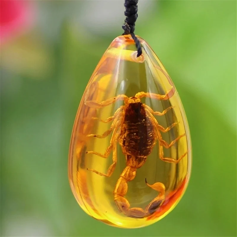 Insect Stone Natural Scorpions Inclusion Amber Baltic Pendant Necklace for Women Men Retro Artificial Amber Choker Souvenir Gift