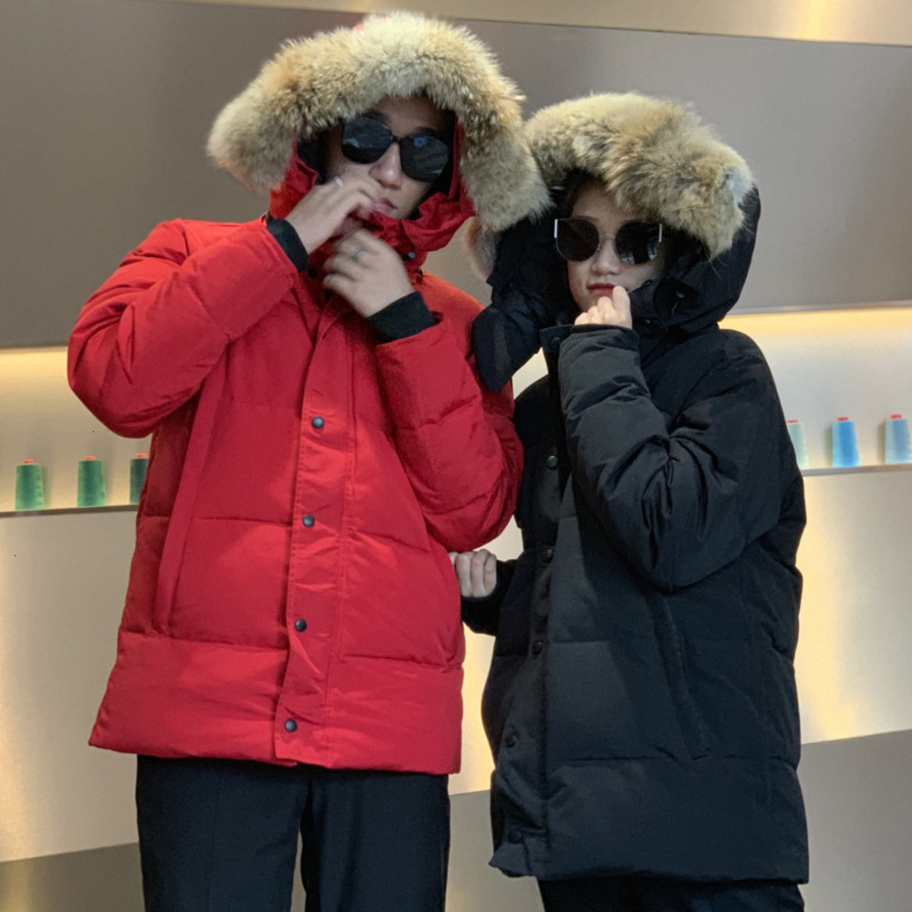 Men Down Jackets Designer Hoodie Puffer Jacket Warm Winter Coats Wolf Fur Fashion Outerwear Coat Parkas Thick Warmth XS-3XL
